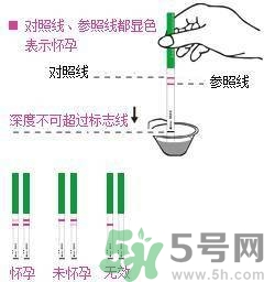 怎么測是否懷孕？早孕試紙怎么用？