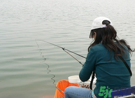 秋天釣鯉魚用什么味型？秋季釣鯉魚餌料味型