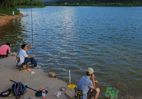 秋天釣魚(yú)是什么時(shí)候？秋天釣魚(yú)什么時(shí)候最好？