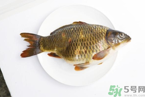 鯉魚(yú)死了還能吃嗎？鯉魚(yú)死了多久不能吃？