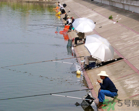 水庫(kù)釣魚(yú)用什么餌料？水庫(kù)釣魚(yú)用什么商品餌？