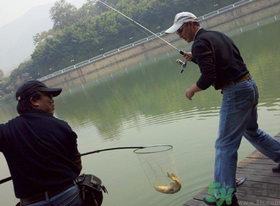 秋季釣黑魚用什么魚餌？秋天釣黑魚用什么餌？