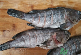 黑魚(yú)怎么洗掉身上的粘液？黑魚(yú)怎么洗才干凈？