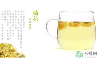 菊花茶可以放冰箱嗎？菊花茶能放冰箱冷凍嗎？