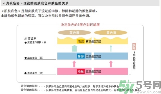 covermark中草藥粉底色號試色 covermark中草藥粉底專柜價格