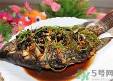 非洲鯽魚的營養(yǎng)價(jià)值 非洲鯽魚的功效與作用