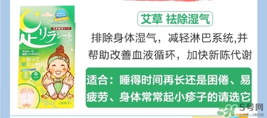 樹之惠足貼5款區(qū)別？樹之惠足貼哪款好用？