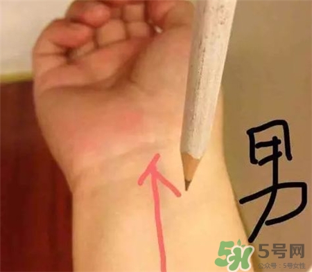 用鉛筆怎么測胎兒性別?用鉛筆和針測男女性別準(zhǔn)嗎?