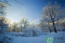 下雪天會打雷嗎？下雪天為什么會大雷？