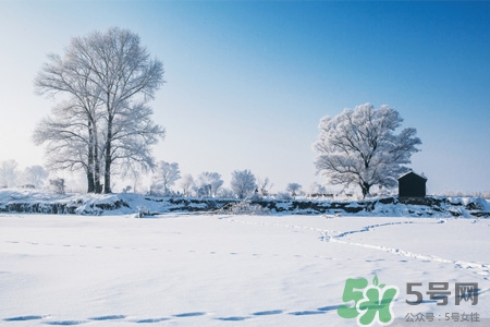 下雪天會打雷嗎？下雪天為什么會大雷？