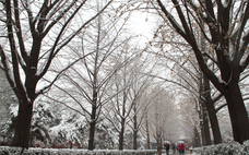 元旦去哪里看雪比較好 中國看雪的十大地方