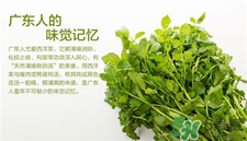 西洋菜的營(yíng)養(yǎng)價(jià)值 西洋菜的功效與作用