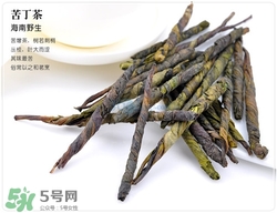 苦丁茶是綠茶嗎?苦丁茶屬于什么茶類(lèi)