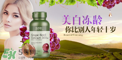 gnc葡萄籽怎么吃？gnc葡萄籽一天吃幾粒？