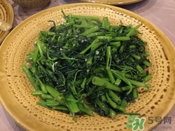 灰菜是什么菜?灰菜的功效與作用