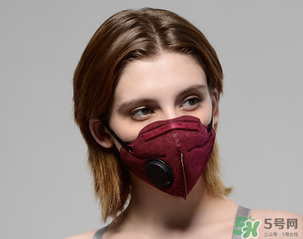 pm2.5口罩多少錢？pm2.5口罩價(jià)格