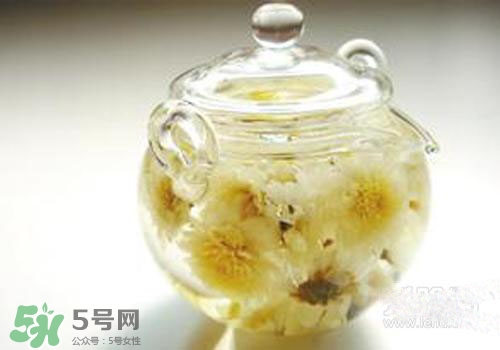 菊花茶什么時(shí)候喝最好？菊花茶什么季節(jié)喝最好？