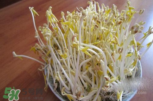 豆芽糖尿病可以吃嗎？糖尿病吃豆芽有什么好處？