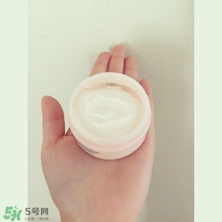 the body shop維e晚霜怎么用？美體小鋪維e晚霜使用方法