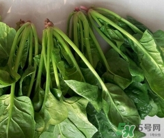 菠菜吃多了會(huì)怎么樣?菠菜吃多了有什么害處?