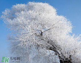 2017年第一場雪什么時候？2017年什么時候下雪？