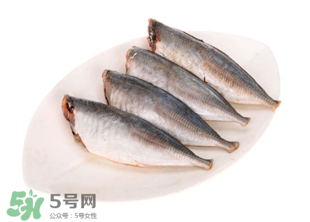 沙丁魚的營養(yǎng)價值 沙丁魚的功效與作用