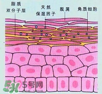 敷面膜真的有效嗎？敷面膜真的有用嗎？