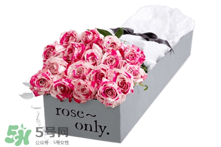 roseonly是什么花？roseonly是真花還是假花？