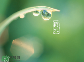 雨水吃什么？雨水節(jié)氣飲食禁忌？