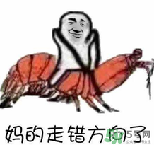 說(shuō)人皮皮蝦是什么意思？女生叫男生皮皮蝦什么意思？