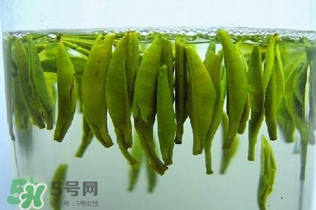 紫砂壺可以泡什么茶？紫砂壺喝什么茶好？