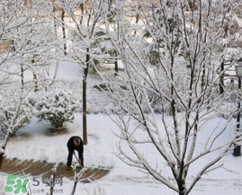 春天下雪意味著什么？春天為什么會下雪？