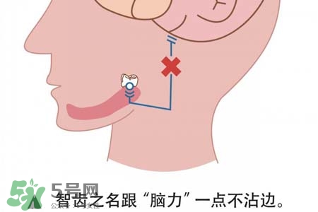 智齒會(huì)一直長嗎？智齒會(huì)停止生長嗎？