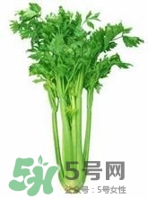 負卡路里的食物有哪些？負卡路里食物真的吃不胖嗎？