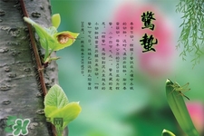 驚蟄吃什么蔬菜好？驚蟄節(jié)氣養(yǎng)生吃什么蔬菜？