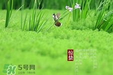 驚蟄吃什么蔬菜好？驚蟄節(jié)氣養(yǎng)生吃什么蔬菜？