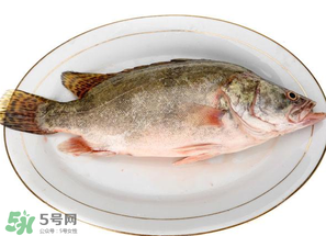 三月份吃什么魚？3月份吃什么魚好？