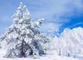 三月份還會(huì)下雪嗎？哈爾濱三月份還有雪嗎？