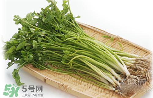 吃野芹菜會(huì)中毒嗎？吃野芹菜中毒了怎么辦？