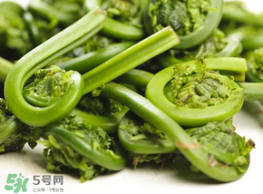 蕨菜怎么洗？蕨菜怎么清洗才干凈？