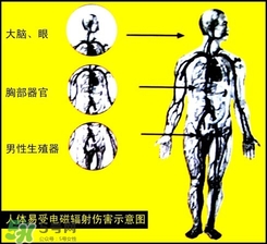 防輻射服什么時(shí)候開始穿？防輻射服真的有用嗎？