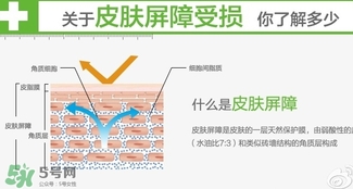 玉澤和至本哪個好？玉澤和至本區(qū)別對比