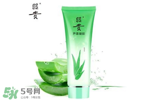 2017蘆薈膠哪個牌子好？2017蘆薈膠品牌推薦