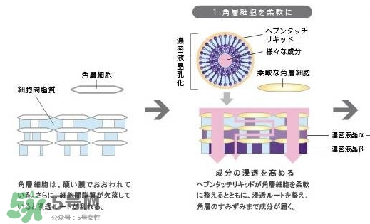 pola極光精華怎么用？pola極光精華使用方法