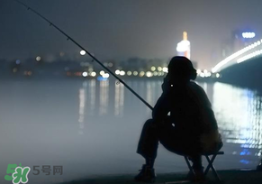 春分能夜釣嗎？春分能釣鯉魚嗎？