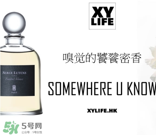 serge lutens蘆丹氏香水哪款好聞？鹵蛋蘆丹氏香水推薦