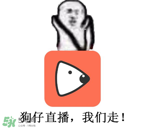 黃鱔為什么火了？黃鱔我們走為什么火了？