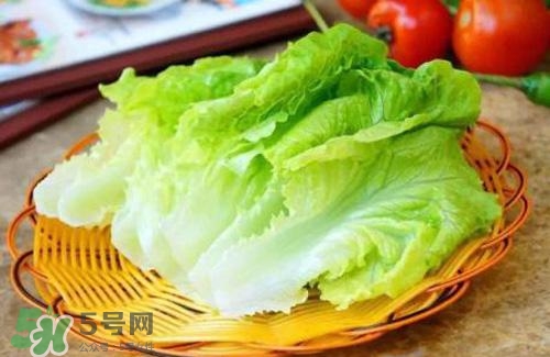 生菜可以放冰箱嗎？生菜可以放冰箱多久？