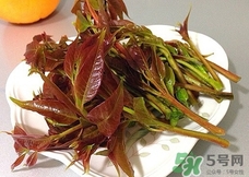 香椿芽的營(yíng)養(yǎng)價(jià)值_香椿芽的功效與作用及食用方法