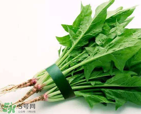 孕婦可以吃菠菜嗎？孕婦菠菜吃多了會(huì)怎樣？